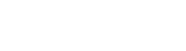Elleve Wellness